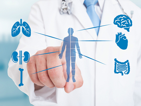 Slider image (3) Hospital Velmar